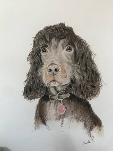 Print of Portraiture Dogs Paintings by Marshall Probert