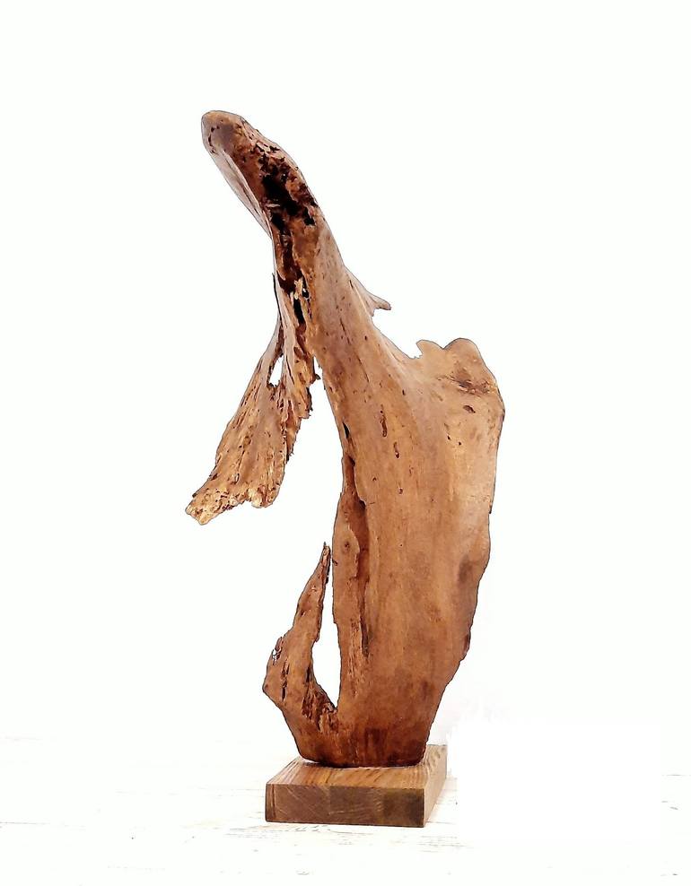 Illusory wholeness. Driftwood sculpture - Print