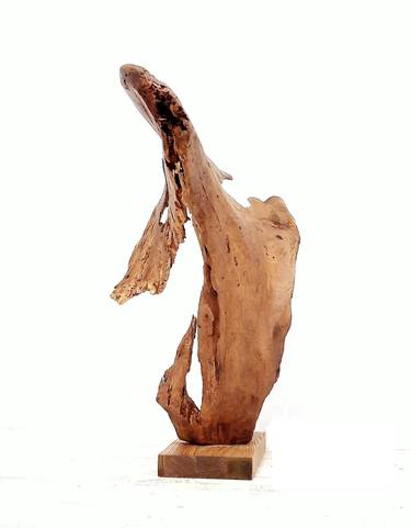 Illusory wholeness. Driftwood sculpture thumb