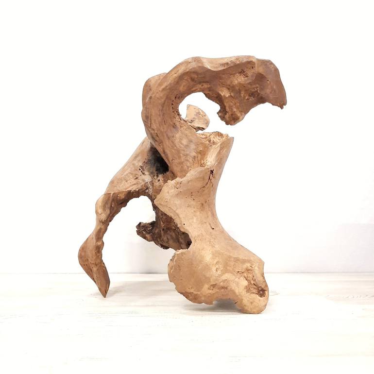 Print of 3d Sculpture Abstract Sculpture by Lara Shabelnik