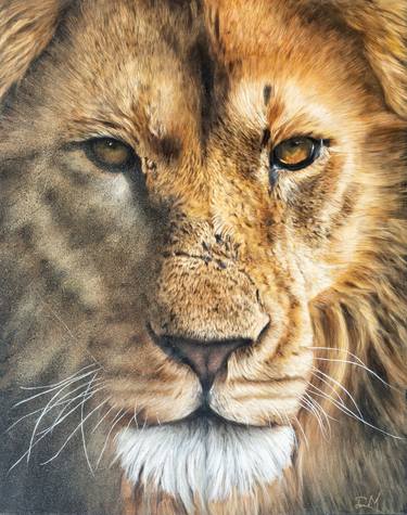 Original Fine Art Animal Paintings by Dominic Moore