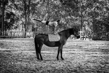 Original Minimalism Horse Photography by Max Keericco