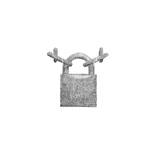 Padlock #2 (Love Locked) by Gary Mansfield