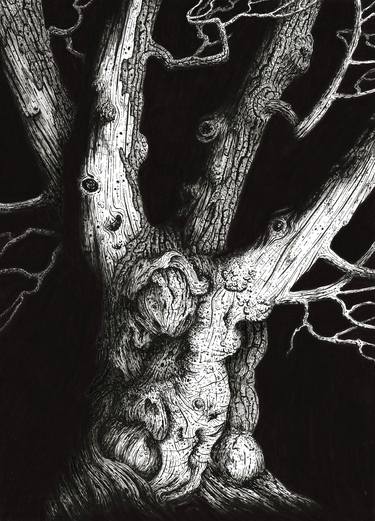 Original Fine Art Tree Drawings by tony galuidi