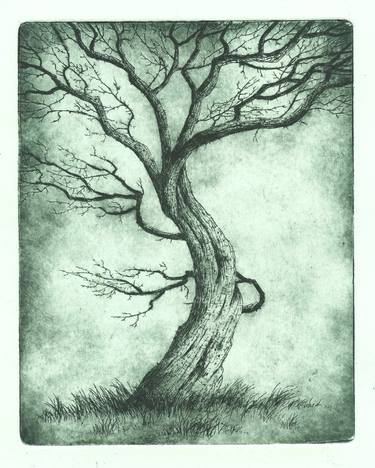 Original Tree Printmaking by tony galuidi