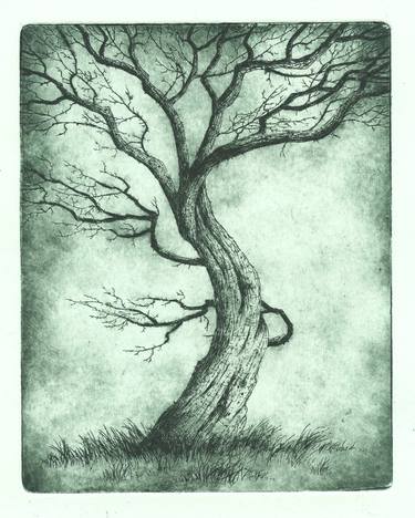 Original Fine Art Tree Printmaking by tony galuidi