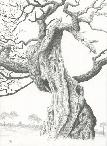Original Fine Art Tree Drawings by tony galuidi