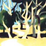 A Path Through the Trees by Tomoko Mizuno