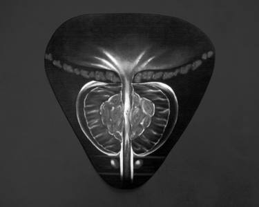 Original Conceptual Health & Beauty Photography by Richard Tonner