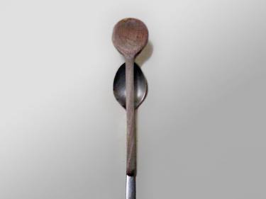 Original Conceptual Still Life Photography by Richard Tonner