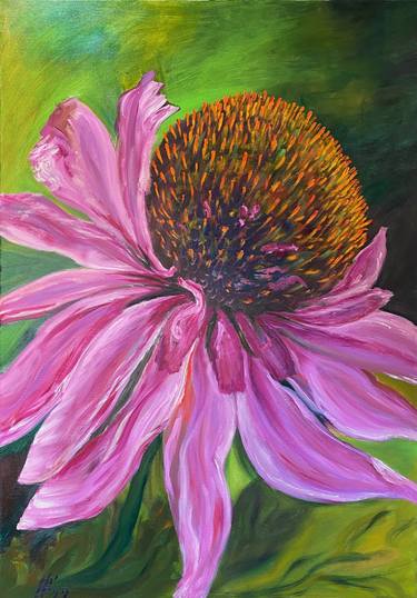 purple coneflowers Blooming Plant Fine Art thumb