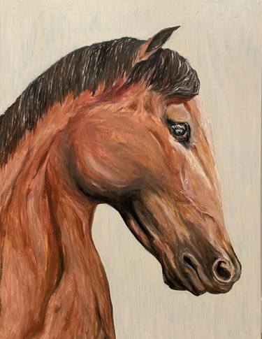 Original Fine Art Horse Paintings by Morgan Young