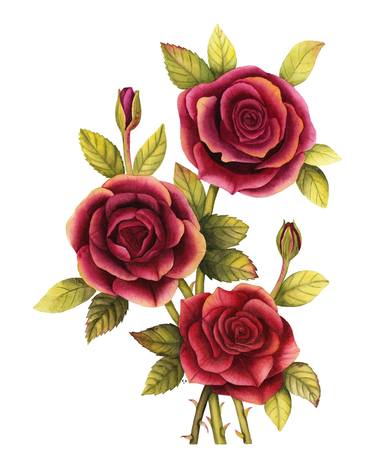 Print of Art Deco Botanic Paintings by Alfiya Scheck