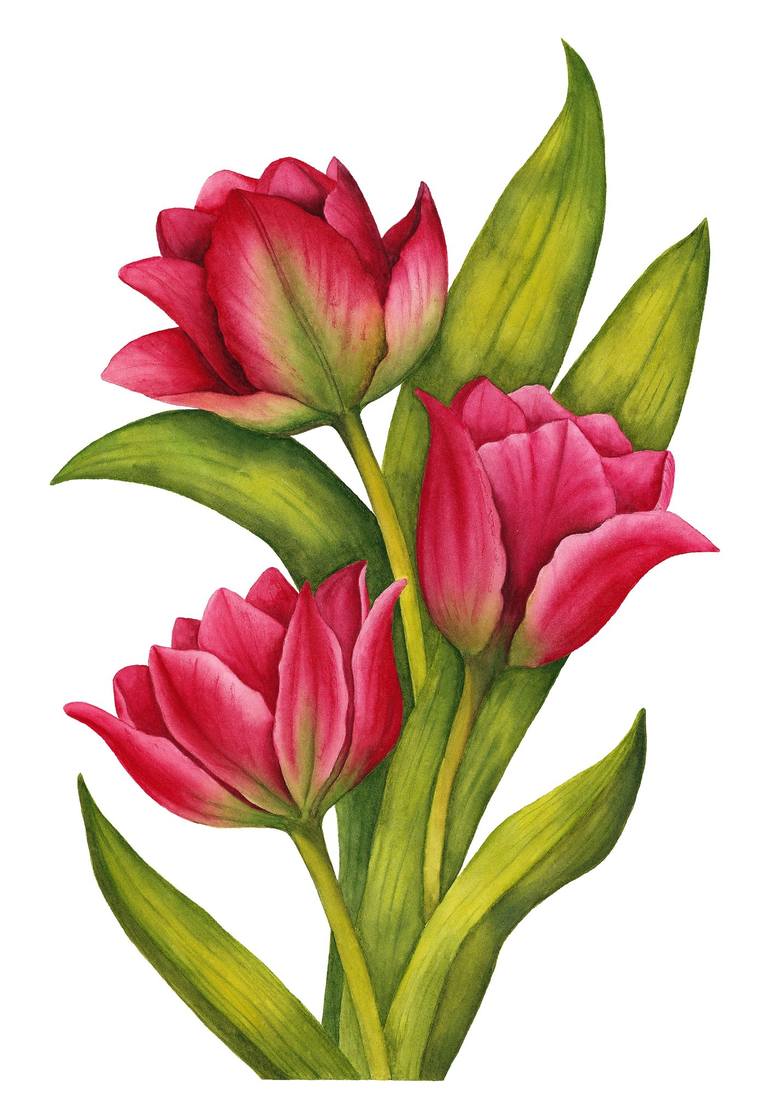 Tulips Painting by Alfiya Scheck | Saatchi Art