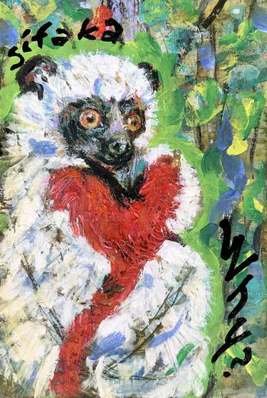 Coquerel's sifaka (Propithecus coquereli) thumb