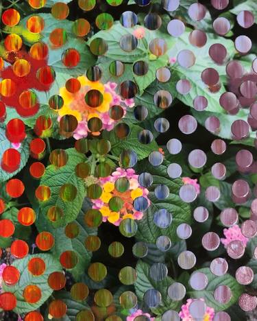 Saatchi Art Artist Nicolas Tamura; Painting, “Colors #1” #art