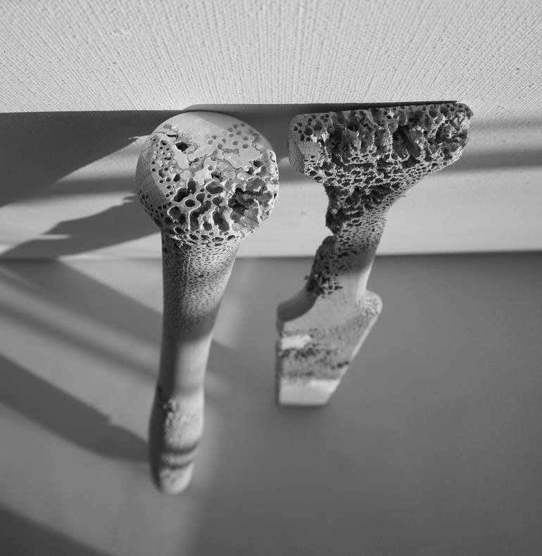 Original Conceptual Abstract Sculpture by Erwina Ziomkowska