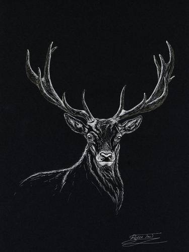 Print of Conceptual Animal Drawings by Brian du Toit