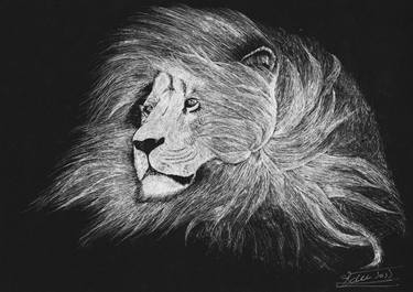 Print of Modern Animal Drawings by Brian du Toit