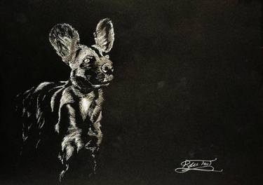 Print of Illustration Animal Drawings by Brian du Toit