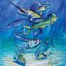 Collection Sport Fishing Art