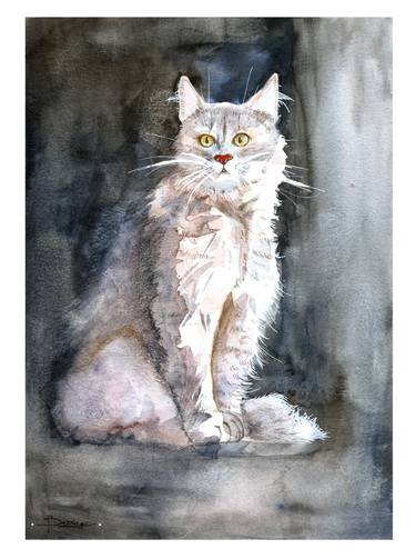 "Il Gatto" Domestic cat portrait print thumb