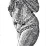 view additional image 1