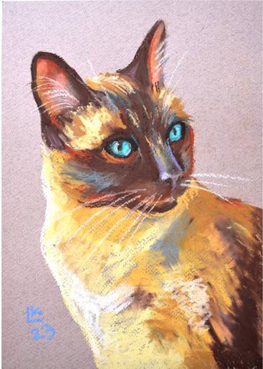Siamese Cat Portrait thumb