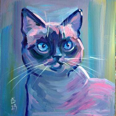 Siamese cat portrait on a blue background thumb
