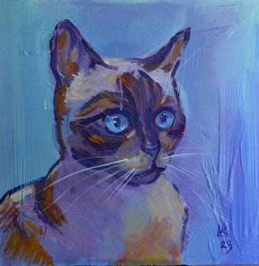 Siamese cat portrait thumb