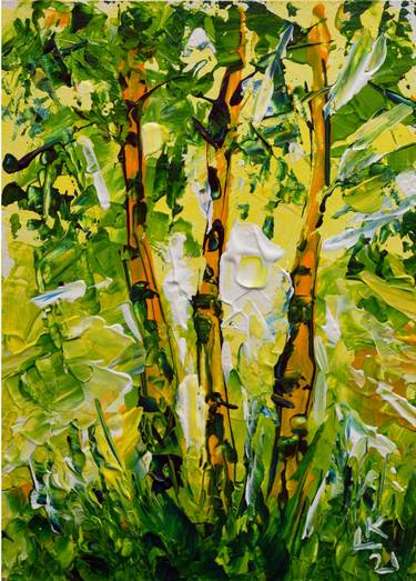 Birch trees thumb