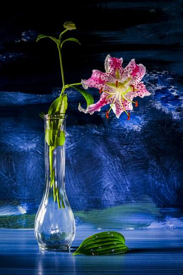 Print of Fine Art Floral Photography by Jeff Scholl