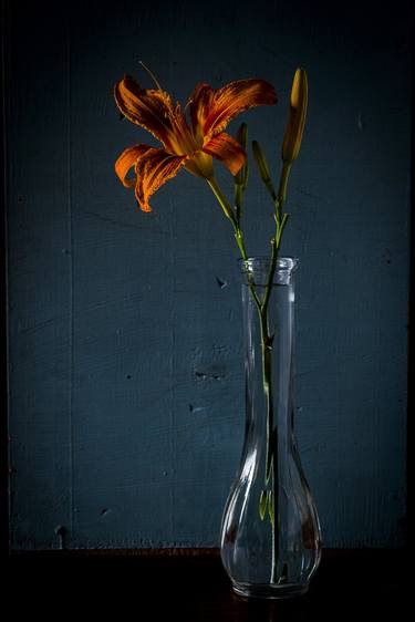 Print of Fine Art Still Life Photography by Jeff Scholl