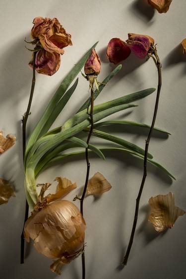 Original Conceptual Floral Photography by Jeff Scholl
