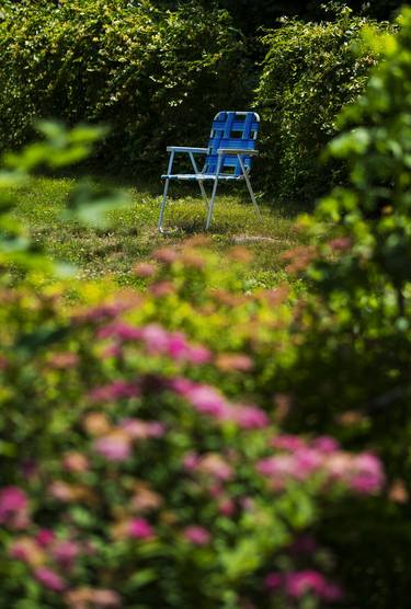 Print of Conceptual Seasons Photography by Jeff Scholl