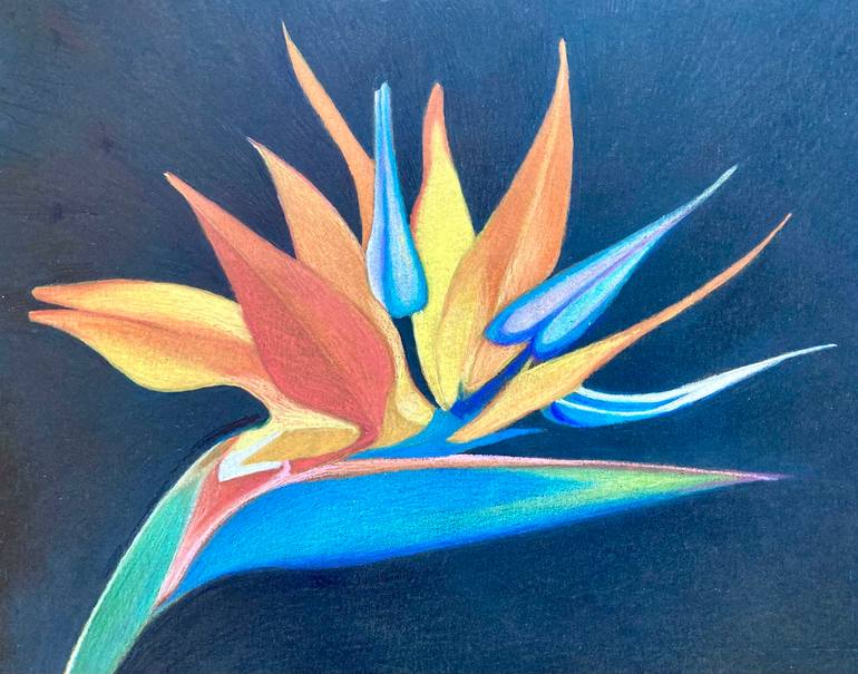 Original Floral Drawing by Dulcie Dee | Realism Art on Paper | BIRDS OF PARADISE
