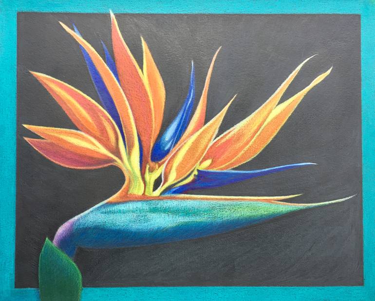 birds of paradise flower drawing