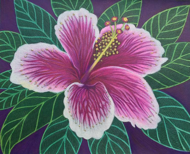 Hibiscus Drawing By Dulcie Dee Saatchi Art