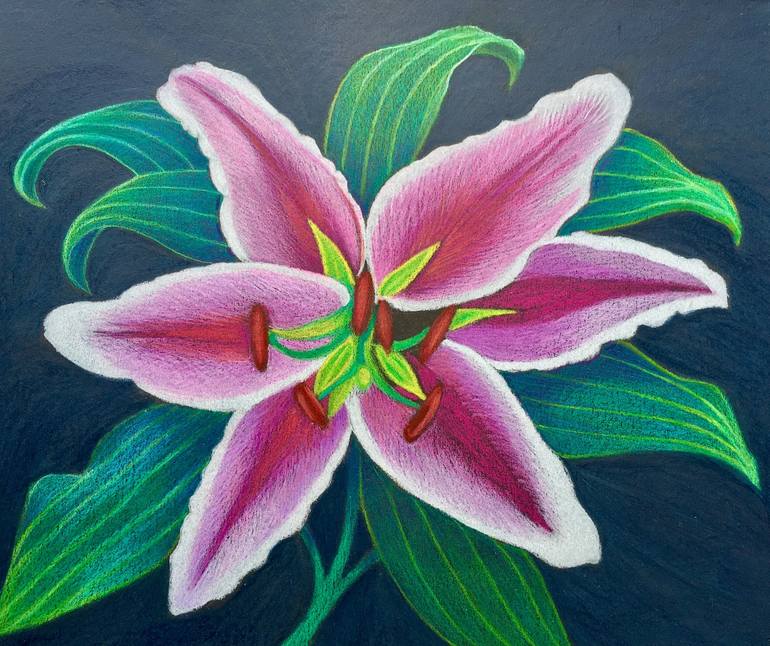pencil drawings of tiger lilies
