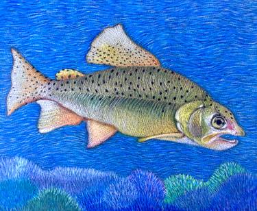 Print of Impressionism Fish Drawings by Dulcie Dee