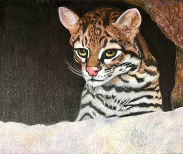 Original Fine Art Animal Drawings by Dulcie Dee