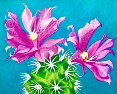 Original Floral Drawings by Dulcie Dee