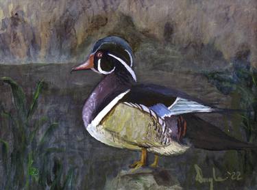 Original Fine Art Nature Paintings by Douglas Black