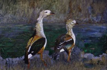 Print of Fine Art Animal Paintings by Douglas Black