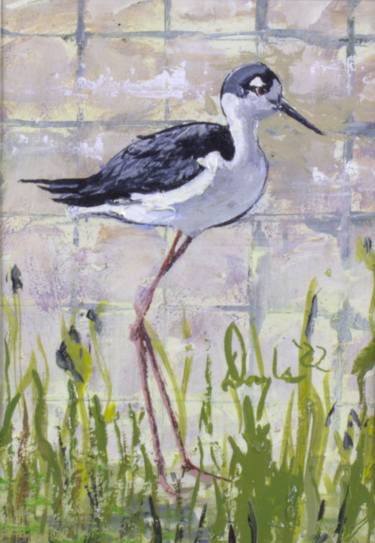 Black-necked Stilt, of the Stars Of The Birdhouse Series thumb