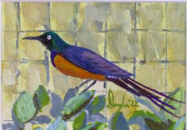 Golden Breasted Starling, of the Stars Of The Birdhouse Series thumb