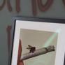 Gallery frame with passe-partout