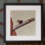 Gallery frame with passe-partout