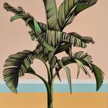 Tropic #3 by Michelle Jirsensky