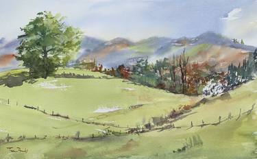 Original Landscape Paintings by Txon Pomes